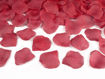 Picture of CONFETTI CANNON WITH ROSE PETALS RED DEEP RED 40CM